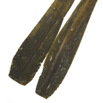 真昆布